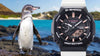 Casio G - Shock Classic X Charles Darwin Foundation Limited Edition - GA - B2100CD - 1A7ER - Jetzt bei clockchasers.com kaufen