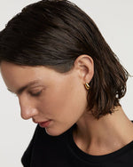 PD Paola Sugar Goldohrringe 925 Sterling Silber - AR01 - 882 - U - Jetzt bei clockchasers.com kaufen
