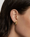 PD Paola Sugar Goldohrringe 925 Sterling Silber - AR01 - 882 - U - Jetzt bei clockchasers.com kaufen