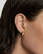 PD Paola Sugar Goldohrringe 925 Sterling Silber - AR01 - 882 - U - Jetzt bei clockchasers.com kaufen