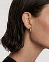 PD Paola Sugar Goldohrringe 925 Sterling Silber - AR01 - 882 - U - Jetzt bei clockchasers.com kaufen