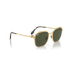 Ray-Ban RB3720