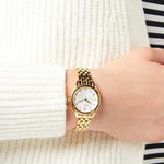 Seiko Classique Damenuhr - SUR384P1 - Jetzt bei clockchasers.com kaufen
